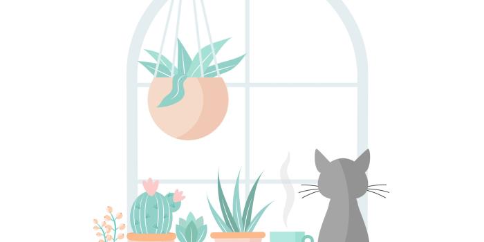 2667x4733 55+ Cute Cartoon Cat iPhone Wallpapers - Download at WallpaperBro