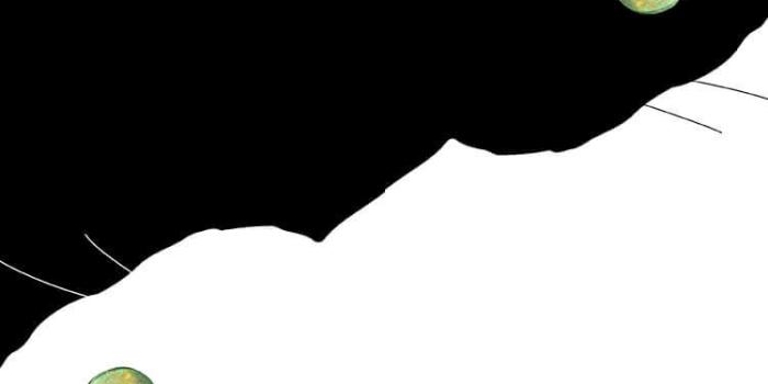 750x1334 50+ Cat Cartoon Phone Wallpapers - Download at WallpaperBro