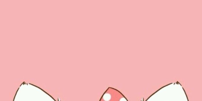 700x1243 Cat iPhone Wallpapers - Top Free Cat iPhone Backgrounds
