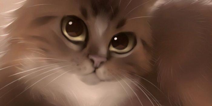 720x1280 Cute Cat Cartoon Wallpaper Hd | Zozocartoon.co