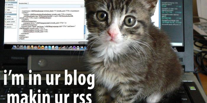 1440x1080 Cartoon Wallpapers, Humor, Lol, Kitten, Iphone Abstract Stock Images