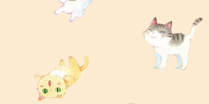 1082x1920 65+ Cute Japanese Kitten Wallpapers - Download at WallpaperBro