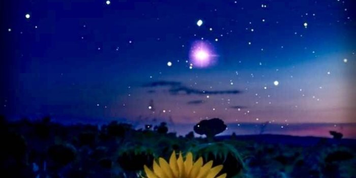 720x1280 Sun Moon Stars Wallpaper by Godzreal - 78 - Free on ZEDGE™