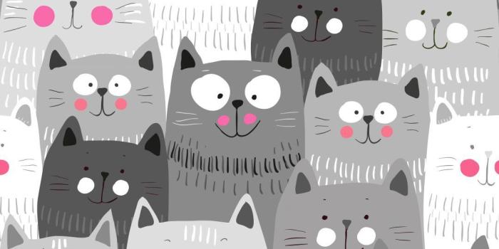 1080x1920 Wallpaper #Fondos de Pantalla Sigueme Judith Estefani | Cats | Cat