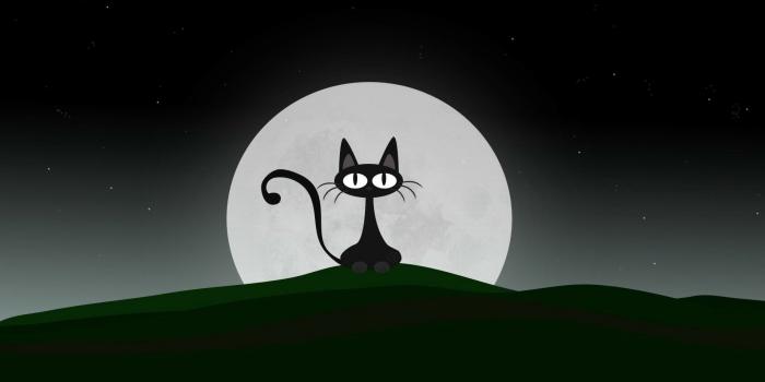 1920x1080 Animated cats wallpapers Gallery