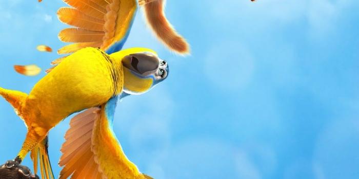 1080x1920 Cats and Peachtopia, 2018 cartoon movie 1080x1920 iPhone 8/7/6/6S