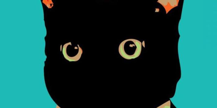 775x1378 Cat Cartoon Wallpaper Iphone