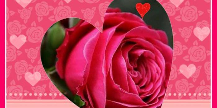 1890x1920 Good Morning Jaan Wallpaper - (43+) Group Wallpapers