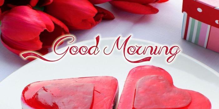 1600x911 New Good Morning Wallpapers