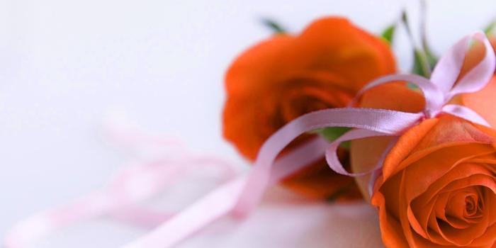 2250x1600 472+ Good morning red rose images Wallpaper Pics for girlfriend & Wife