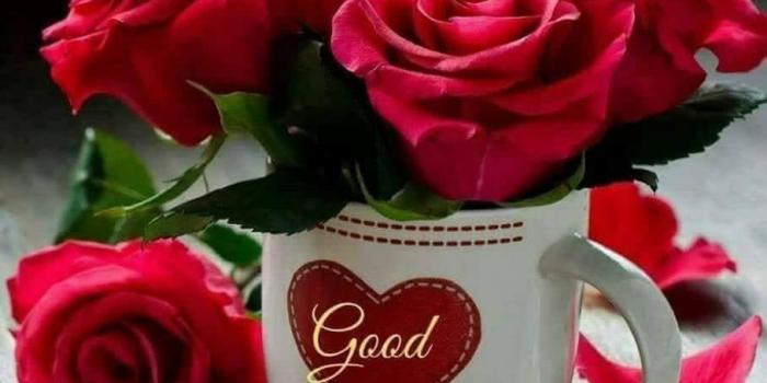 908x960 Good Morning Image With Shayari Success - Beautiful Good Morning