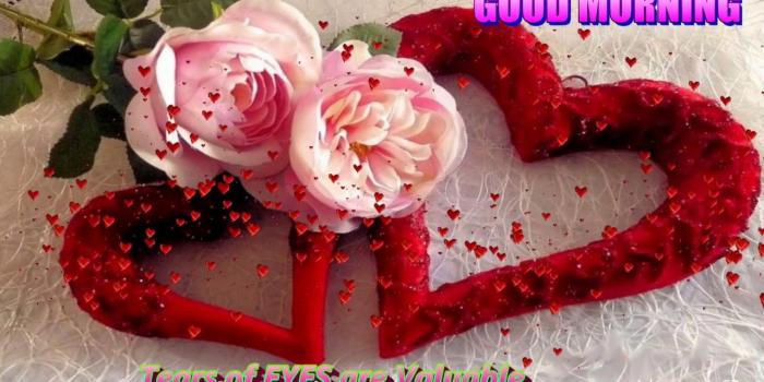 1280x720 vidyasagar63 #goodmorningvideo - Dil Good Morning Images Hd (#814897