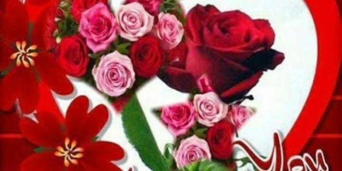 1024x985 Romantic Good Morning Rose I Love You Image - Love You Images With