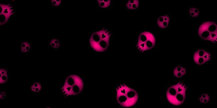 1024x768 Pink Skull Wallpaper (29+ images) on Genchi.info