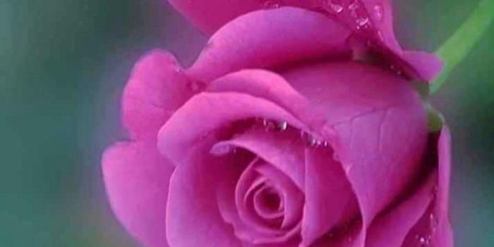 1080x1300 Good Morning Pictures, Images, Graphics