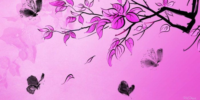 1920x1080 1347 pink and black butterfly wallpaper