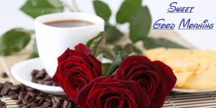 1600x1067 48+] HD Good Morning Wallpaper on WallpaperSafari