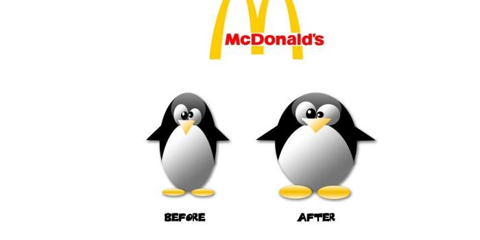 1260x973 Funny & Cute Mobile wallpapers and quotes