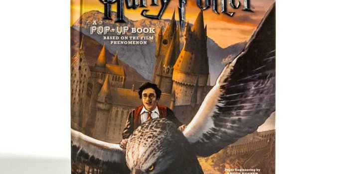 1400x1417 Harry Potter: A Pop-Up Book: Lucy Kee, Bruce Foster, Andrew