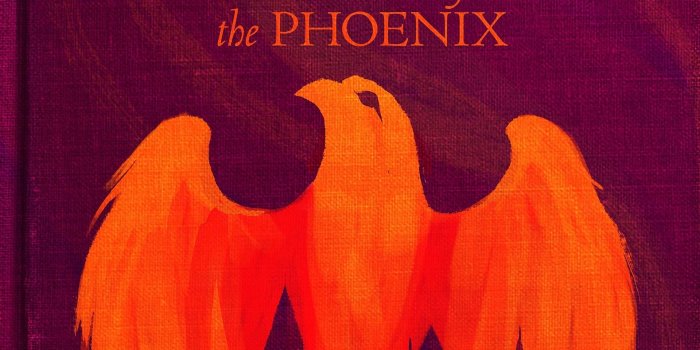 1920x2883 The most awesome images on the Internet | HP- Harry Potter | Harry