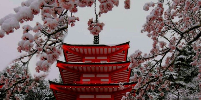 1238x1770 JAPÓN ME ENAMORA | inspiration in 2019 | Aesthetic japan, Cherry