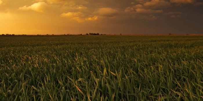 1600x2560 Best 54+ Kindle Desktop Backgrounds on HipWallpaper | Beautiful