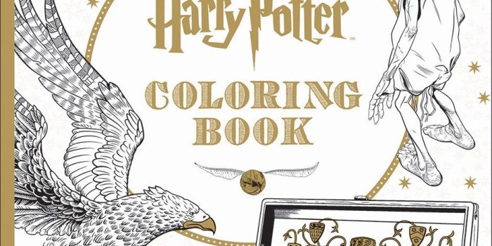 938x1200 Harry Potter Coloring Book: Scholastic: 9781338029994: Amazon.com: Books