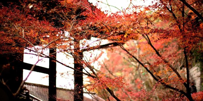 1280x854 Wabi-Sabi: A Japanese Aesthetic as Worldview