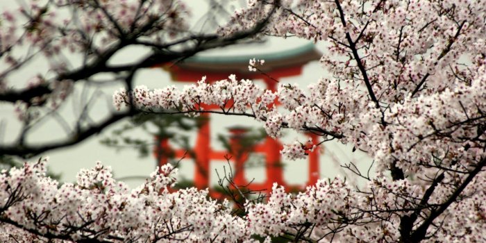 2000x1333 The Best of Modern and Traditional Japanese Aesthetics | Zicasso
