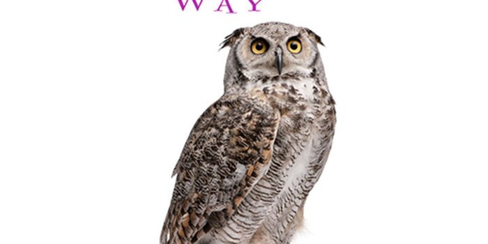 1400x1050 Amazon hints that 'Harry Potter' ebooks may soon be arriving on its