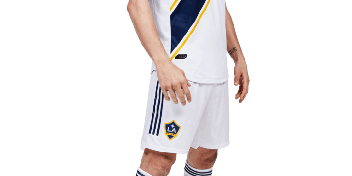 730x1095 Zlatan Ibrahimović LA Galaxy Wallpapers