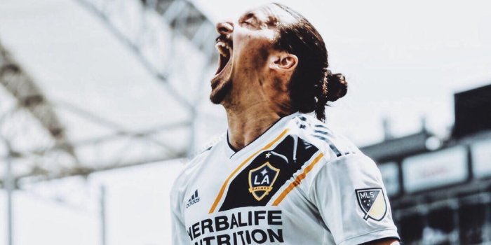 1152x2048 26+] Zlatan Ibrahimović LA Galaxy Wallpapers on WallpaperSafari