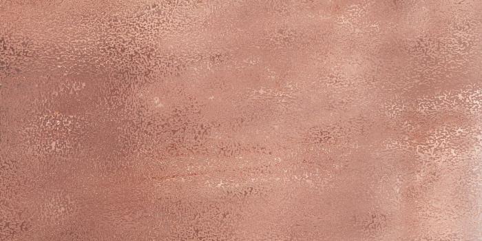 1920x1080 55+ Rose Screensavers Wallpapers on WallpaperPlay