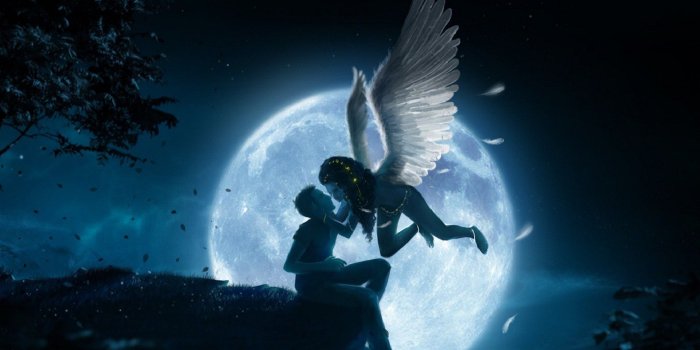 1920x1200 Download Angel Love Wallpaper Gallery Most Beautiful Birds - Litle Pups