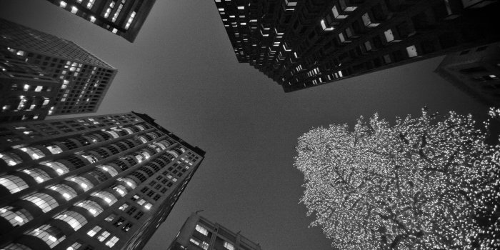 5616x3744 Black and White San Francisco Christmas - Ongur