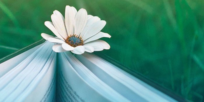 1200x1600 Book Aesthetic Wallpapers - Top Free Book Aesthetic Backgrounds