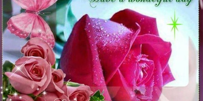 1024x768 Good Afternoon Pictures, Images, Photos