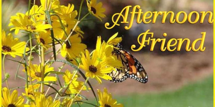1024x768 Good Afternoon Friend Pictures, Photos, and Images for Facebook