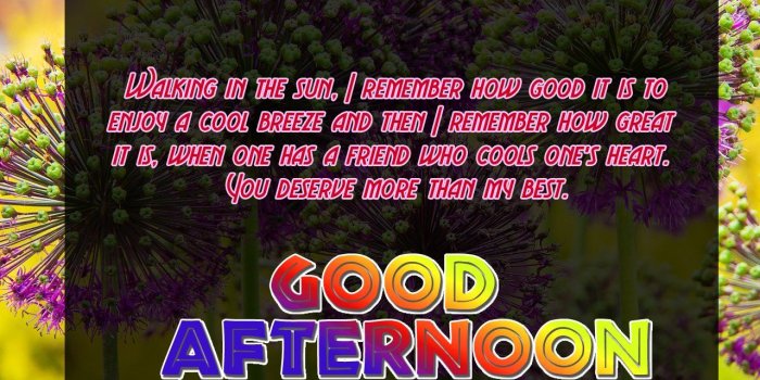 1280x960 Good Afternoon Pictures, Images, Graphics - Page 4