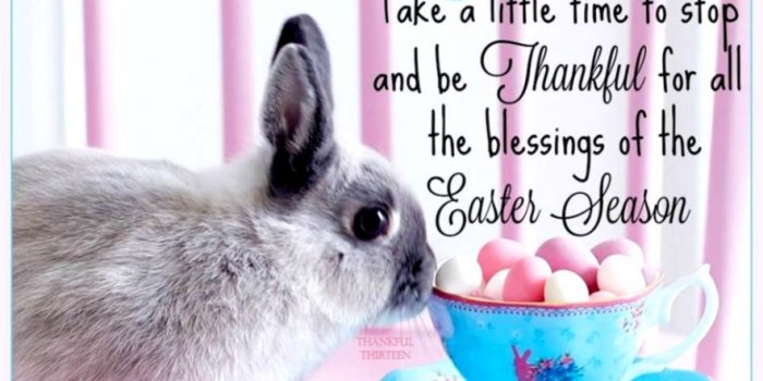 883x902 Good Afternoon Images With Quotes | Wallpapers Land