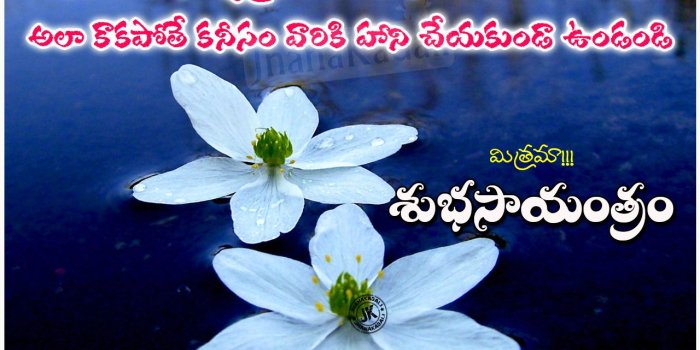 1280x1000 Sweet Good Evening Images With Quotes For Lovers - iLove Messages