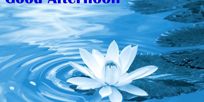 1920x1200 Good Afternoon Wallpapers (93+ images in Collection) Page 1