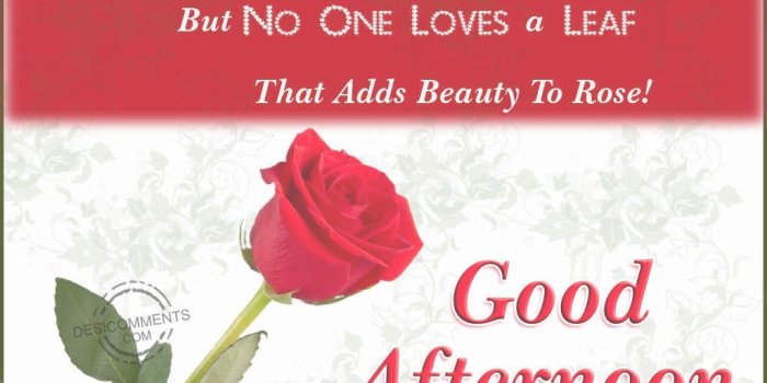 1024x768 Good Afternoon Images And Quotes (99+ images in Collection) Page 1