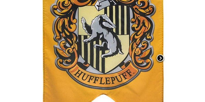 1006x1001 Harry Potter Complete Hogwarts House Wall Banners, Ultra Premium Double  Layered Indoor Outdoor Party Flag - Gryffindor, Slytherin, Hufflepuff,