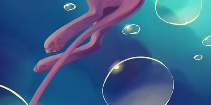 1080x1920 HD Pokemon iPhone Wallpapers (80+ images)