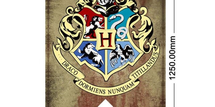 950x950 New 75x125cm Harry Potter Banners Flag Gryffindor Flag Hogwarts College  party Flag house Banner Flags Halloween Decoration free ship