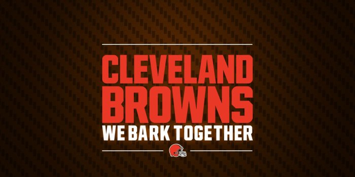 1920x1200 Cleveland Browns 2018 Wallpaper ·① WallpaperTag