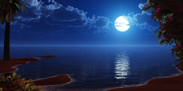 2560x1600 Lake View Moon Night Wallpapers HD Download Of Night SKy Desktop