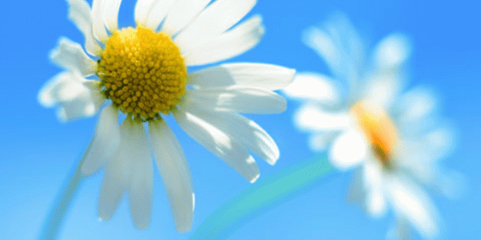 720x1280 Launcher8 : Get Windows Phone 8 look for your Android