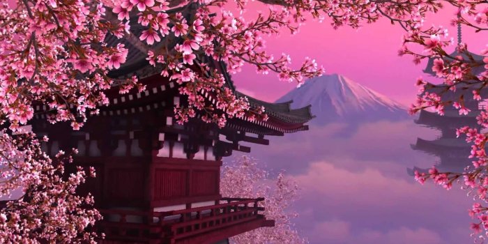 1920x1080 Cherry Blossom Backgrounds (76+ images)